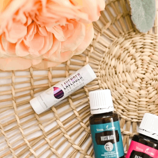 Home Cleaning Checklist Canva Template