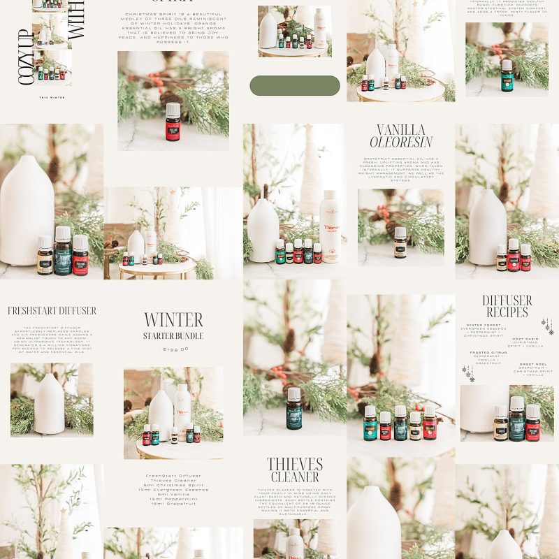 2025 YL Holiday Gift Idea Online Class Template (a la carte)